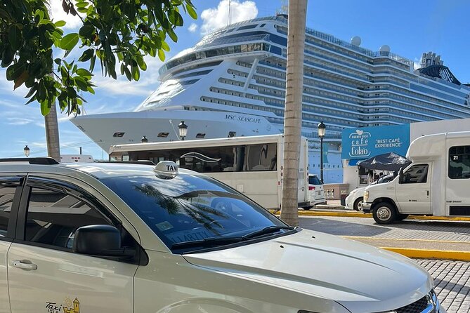 Priv Transfer Cruise Port to SJU Airport/SJ Airport to CruisePort - Accessibility and Policies