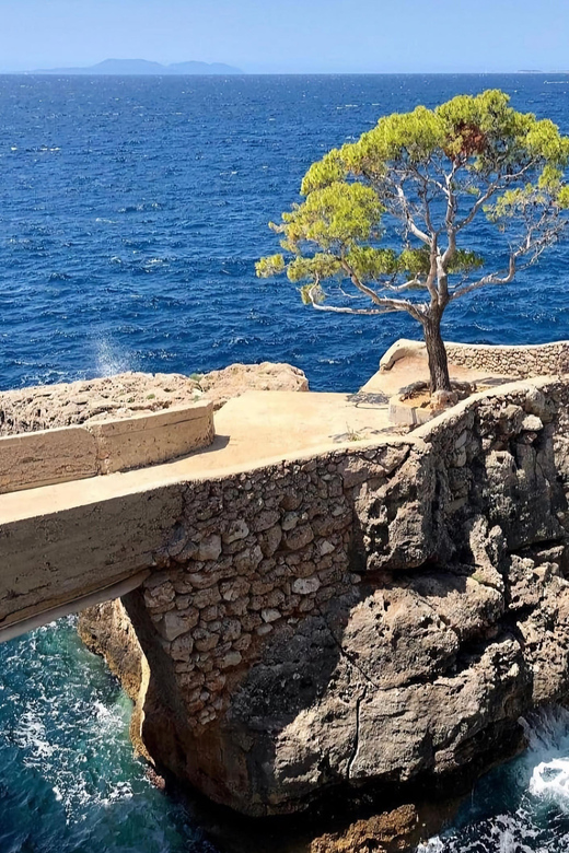 Privat - Hvar South Shore and Pakleni Islands Experience. - Itinerary Highlights