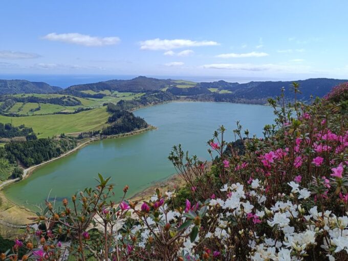 Privat Van Tour Furnas Valley, Gorreana Tea – Islands Gems - Azores Exploration