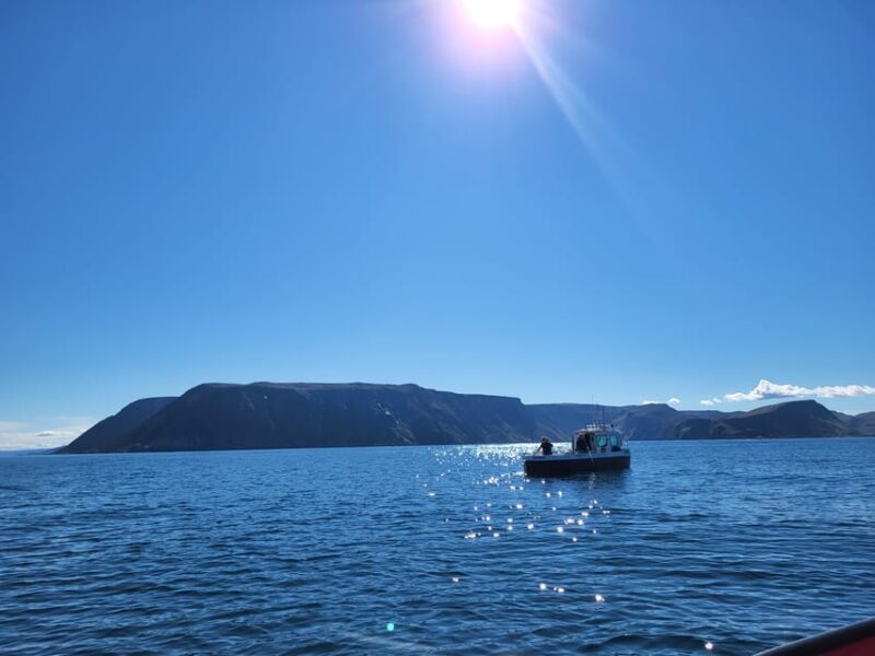 Privat Wildlife Kingcrab Safari Around the North Cape - King Crab Fishing Experience