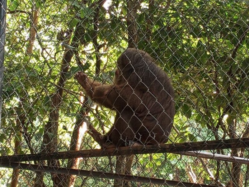 Private 01 Day Trip to Buddha Kiri and Zoological Park Tamao - Itinerary Details