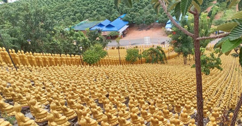 Private 01 Day Trip to Buddha Kiri and Zoological Park Tamao - Pickup and Transportation