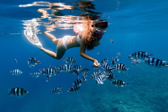 Private 1/2 Day Morning Charter Snorkel or Cruise on Shady Grady - Highlights of the Experience