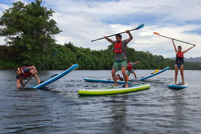 Private 1.5 - 2 Hour Afternoon SUP Class for All Ages and Levels - Learning Experience