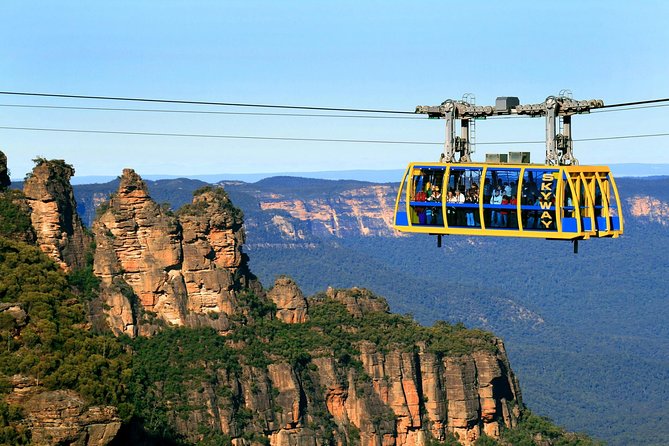 Private 1 Day Full Blue Mountains Tour Koalas Cruise Return - Reviews and Feedback