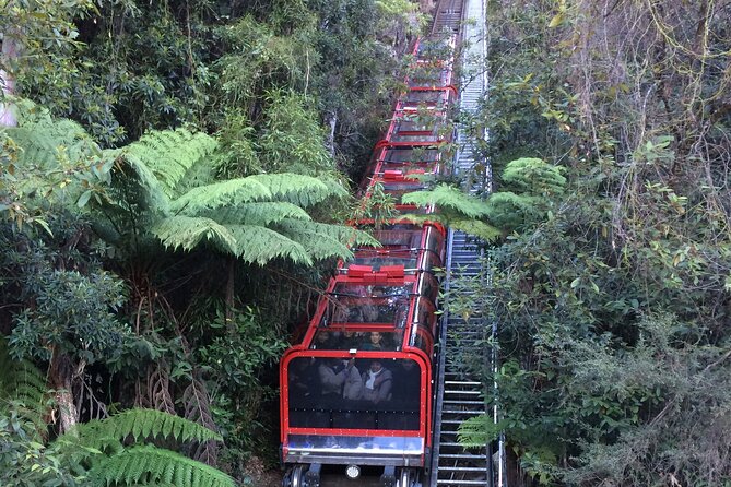 Private 1 Day Full Blue Mountains Tour Koalas Cruise Return - Encountering Wildlife