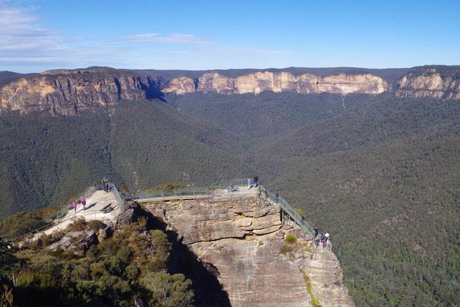 Private 1 Day Full Blue Mountains Tour Koalas Cruise Return - Encountering Australian Wildlife