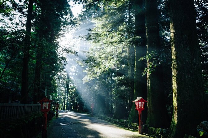 Private 1 Day JDM/Sports Car Tour to Mt Fuji, Hakone, and Onsen - Additional Details