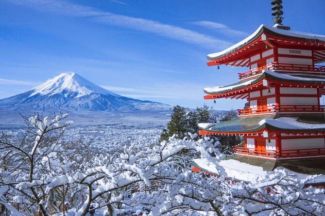 Private 1 Day Round Trip Tour From Tokyo to Mount Fuji - Key Points