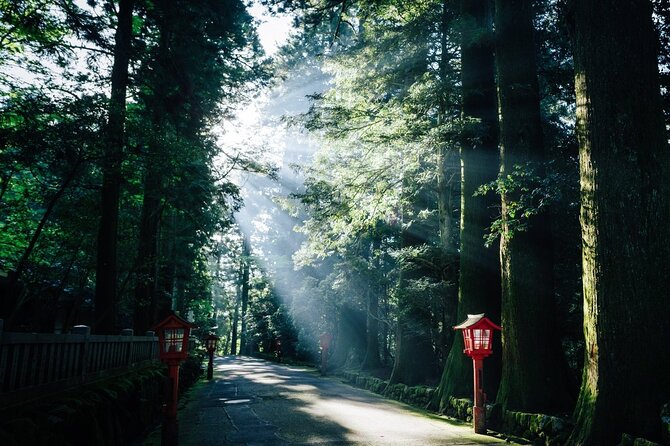 Private 1 Day Tour to Mt Fuji and Hakone: Onsen, Arts and Nature - Meeting and Pickup