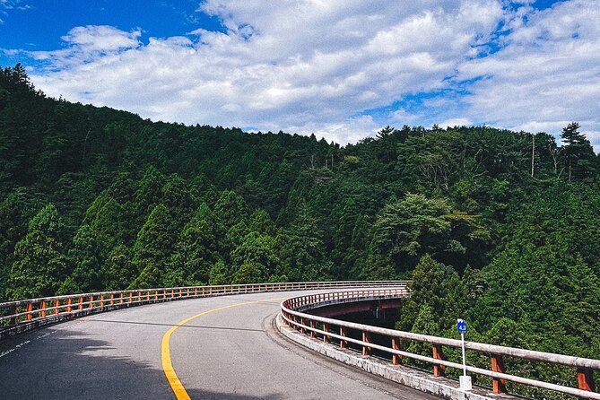 Private 1 Day Tour to Mt Fuji and Hakone: Onsen, Arts and Nature - Onsen (Hot Spring) Experience