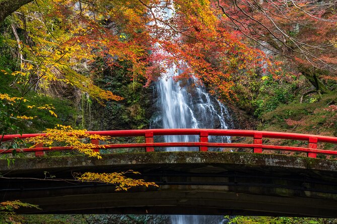 Private 1 Day Tour to Nikko: Onsen, UNESCO Shrines and Nature - Getting to Nikko