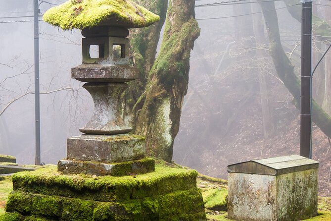 Private 1 Day Tour to Nikko: Onsen, UNESCO Shrines and Nature - Returning to Tokyo