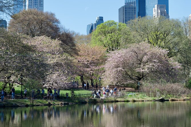 Private 1 Hour Central Park Pedicab Tours in New York City - Booking and Cancellation