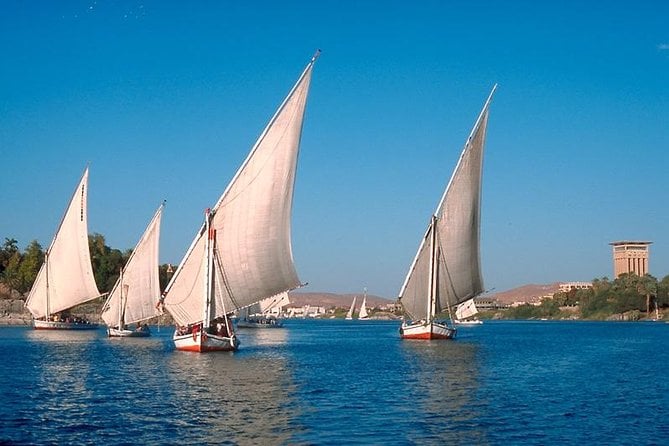 Private 1-Hour Felucca Sailing and Botanical Garden In Aswan - Tips for a Great Experience