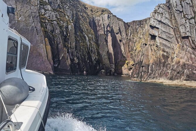Private 1-Hour Guided Boat Tour in Dingle Peninsula - Local Favorites Showcased