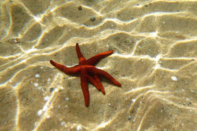 Private 1-Hour Guided Snorkeling Adventure With Go Pro Pictures - Visual Cue and Starting Point