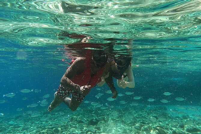 Private 1-Hour Guided Snorkeling Adventure With Go Pro Pictures - Booking Confirmation and Medical Considerations
