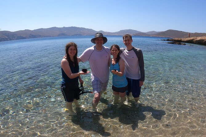 Private 1-Hour Guided Snorkeling Adventure With Go Pro Pictures - Cancellation Policy and Customer Reviews