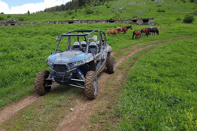 Private 1-Hour Quad or Buggy Safari in Borovets - Booking Information