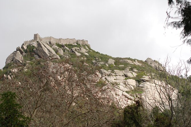 Private 1 Hour Sintra Guided Tour - Accessibility and Participation
