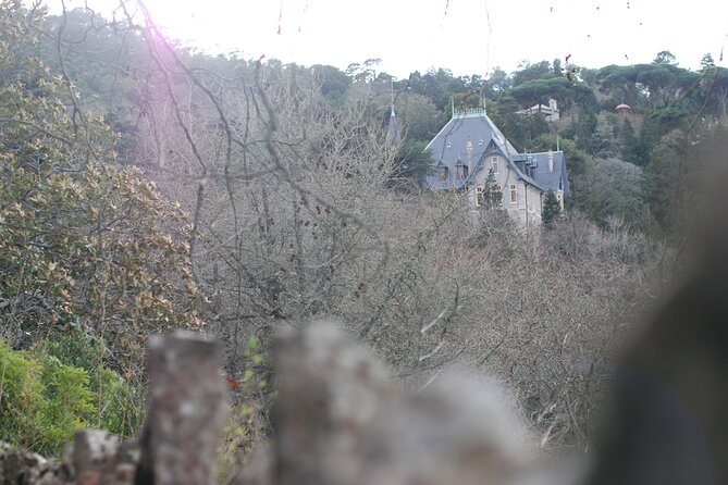 Private 1 Hour Sintra Guided Tour - Exploring Sintras Landmarks