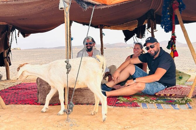 Private- 1 Night 2 Day Tour Luxury Camps Desert From Fes to Fes - Included Amenities
