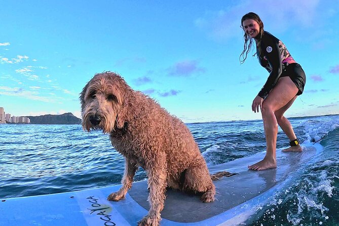 Private 1-On-1 Surf Lesson With Videos and Photos - Booking and Cancellation Policy