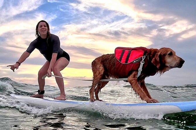 Private 1-On-1 Surf Lesson With Videos and Photos - Photo and Video Package