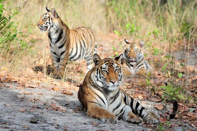 Private 10 Days Radiant Rajasthan Tour - Travel Tips and Considerations