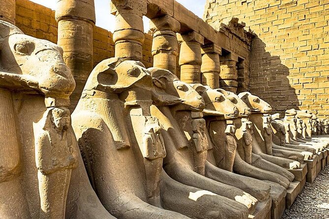 Private 10 Days Tour Pyramids Nile Cruise and Hurghada From Cairo - Meeting and Pickup Details