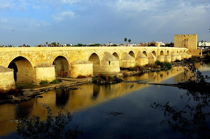 Private 10-Hour Tour to Cordoba From Malaga Hotel Pick up and Drop off - Meeting and Pickup