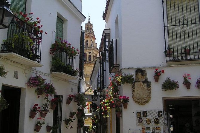 Private 10-Hour Tour to Cordoba From Malaga Hotel Pick up and Drop off - Tour Duration and Pickup