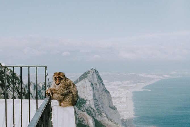 Private 10-Hours Tour of Gibraltar From Cadiz - Tour Overview