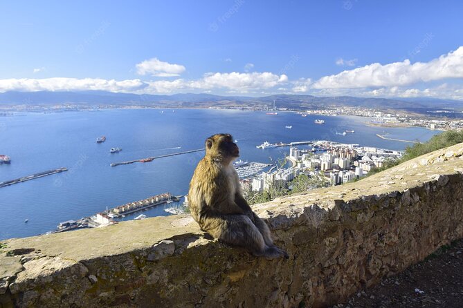 Private 10-Hours Tour of Gibraltar From Cadiz - Panoramic Views From the Top
