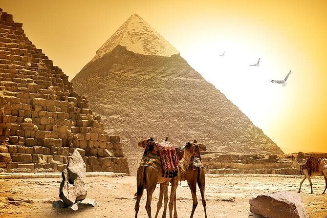 Private 11-Days Egypt Spiritual Tour and Luxury Sacred Journey - Transportation