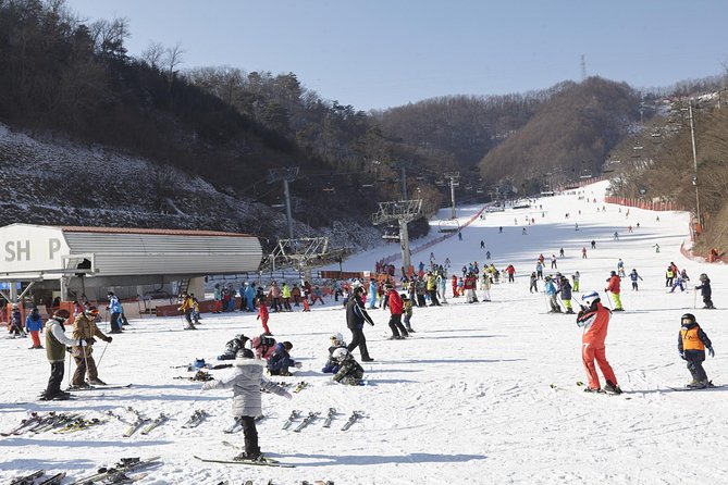 Private 1:1 Ski Lesson Near Seoul, South Korea - Good To Know