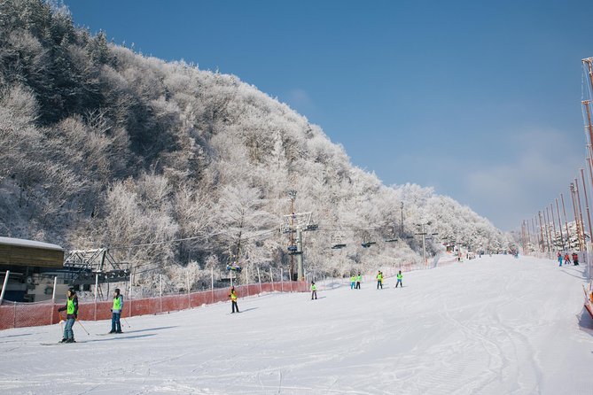 Private 1:1 Ski Lesson Near Seoul, South Korea - Lesson Details and Inclusions