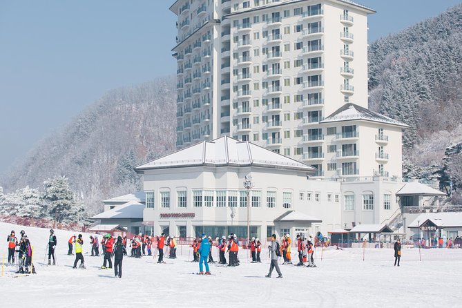 Private 1:1 Ski Lesson Near Seoul, South Korea - Skilled English-Speaking Instructors