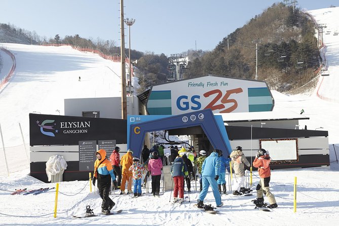 Private 1:1 Ski Lesson Near Seoul, South Korea - Beginner-Friendly Slope Configurations