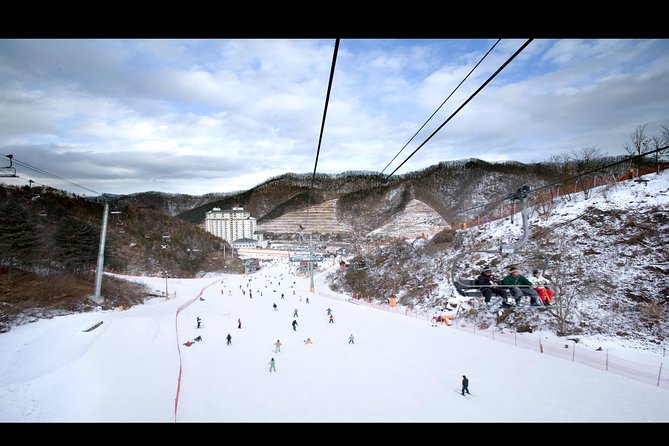 Private 1:1 Ski Lesson Near Seoul, South Korea - Accessibility and Recommendations