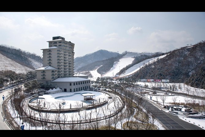 Private 1:1 Ski Lesson Near Seoul, South Korea - Pricing and Booking Information