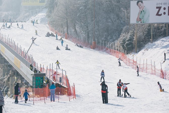 Private 1:1 Ski Lesson Near Seoul, South Korea - Positive Customer Reviews