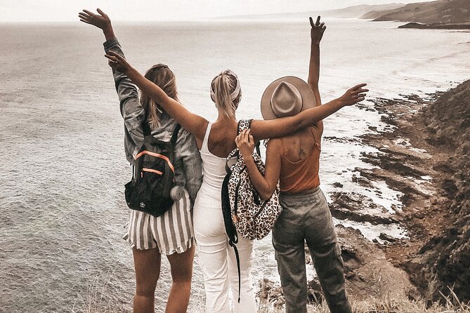 Private 12 Apostles, Otways & Great Ocean Road Hiking Tour From Melbourne - Itinerary Highlights