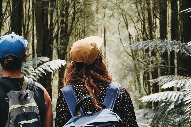Private 12 Apostles, Otways & Great Ocean Road Hiking Tour From Melbourne - Activity Level