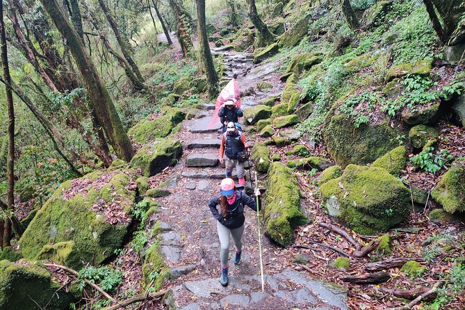 Private 12-Day All Inclusive Guided Annapurna Base Camp Trek Tour - Accommodations and Equipment