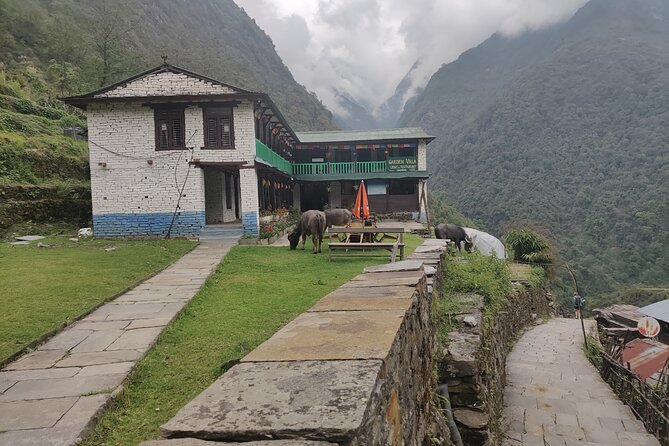 Private 12-Day All Inclusive Guided Annapurna Base Camp Trek Tour - Meals and First Aid