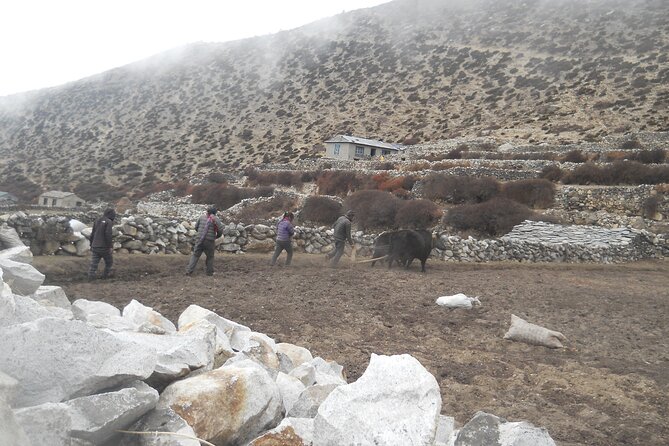 Private 12 - Day Everest Base Camp Trekking - Meeting and End Points