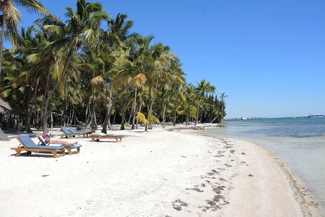 Private 12-Hour Tour to Key Largo and Isla Morada From Miami Dade - Key Points