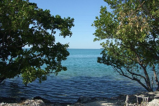 Private 12-Hour Tour to Key Largo and Isla Morada From Miami Dade - Health and Safety Considerations